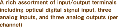 A rich assortment of input/output terminals including optical digital signal input, three analog inputs, and three analog outputs (per channel)